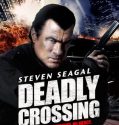 Deadly Crossing (2011)