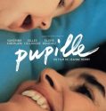 PUPILLE (IN SAFE HANDS) (2018)