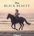 BLACK BEAUTY (2020)